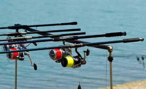 广西渔具 互联网浪潮中崛起的后起之秀